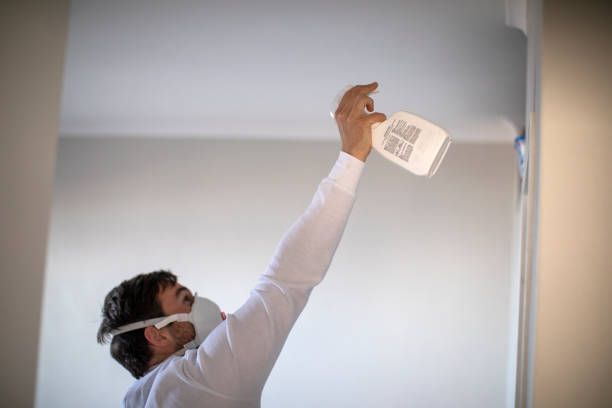 Professional Mold Removal in Tornillo, TX